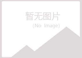 江门山柏会计有限公司